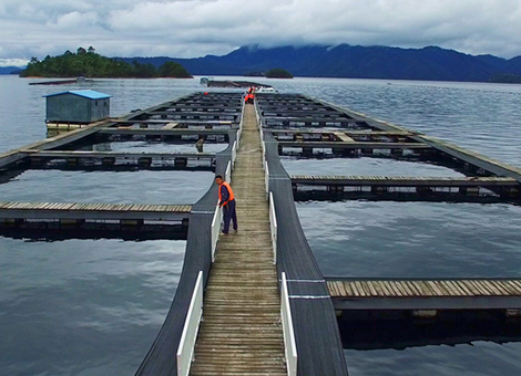 养殖场有害生物防治