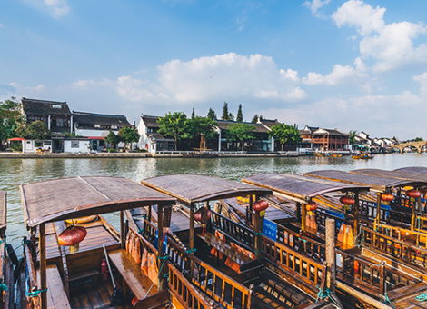 旅游码头有害生物防治