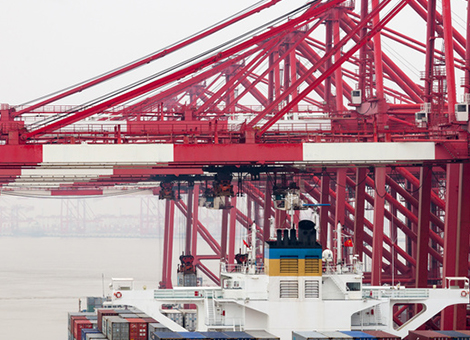 贸易港口有害生物防治