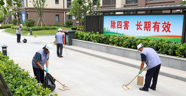 除四害怎么长期有效 不是一阵风而是环境治理管理
